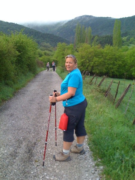 Camino, Camino de Santiago, The Way