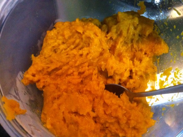 pumpkin, squash, mashed pumpkin